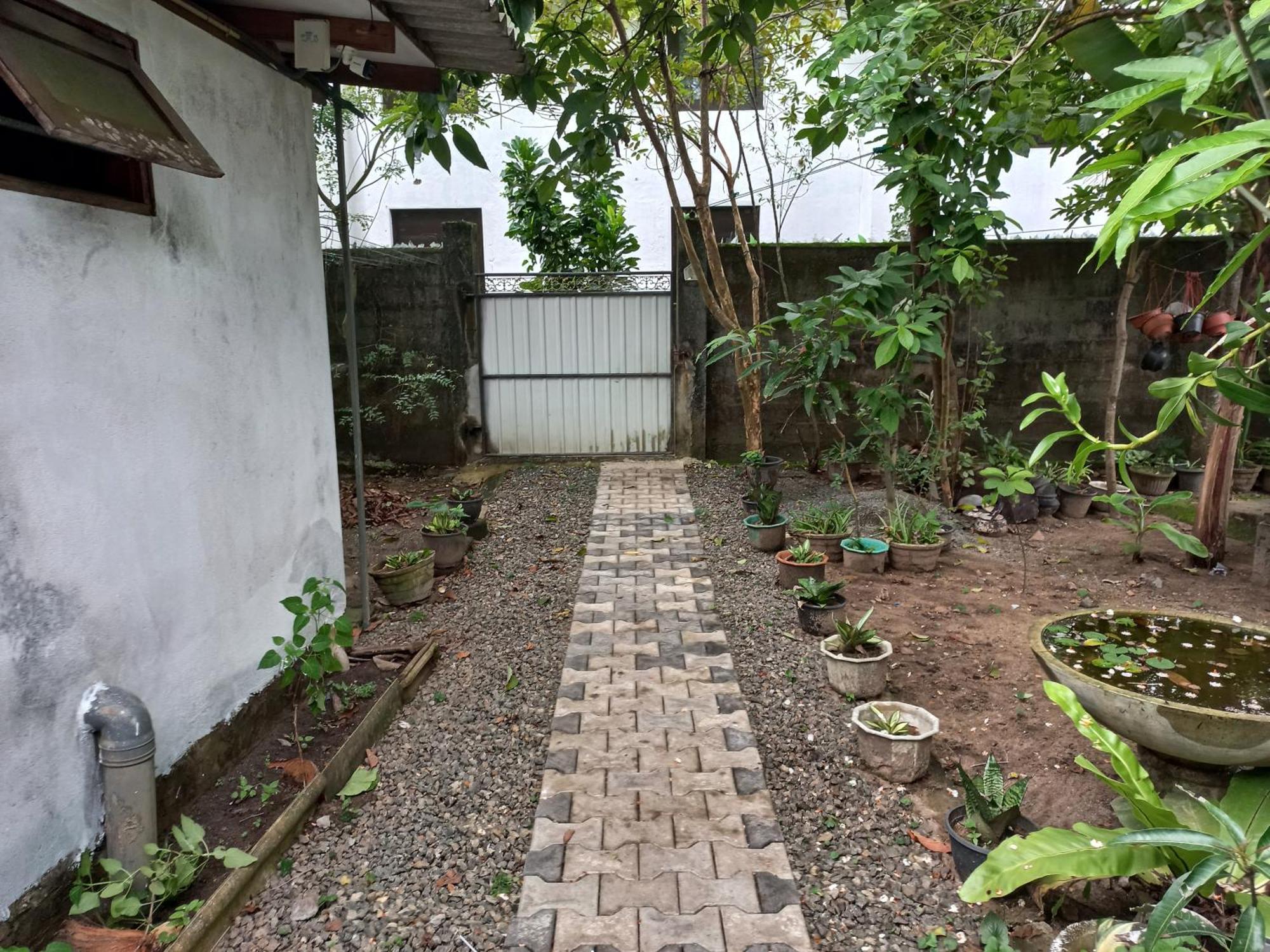 Mango Villa 703 Hikkaduwa Exterior foto